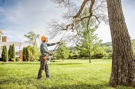 Best Tree Planting  in Lewiston, UT